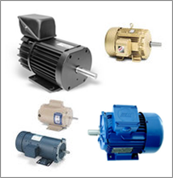 Manufacturers Exporters and Wholesale Suppliers of Our Products New Delhi Delhi